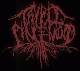 logo Triple Pinewood